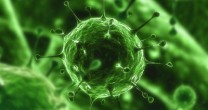 Virusurile devin tot mai periculoase din cauza rezistentei la antibiotice