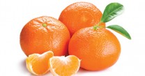 Cat de importante sunt clementinele iarna?