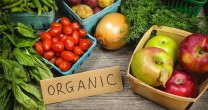 Cele mai bune alimente organice