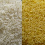 Orezul alb si orezul brun - elemente nutritive