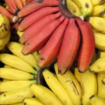 Tipuri de banane