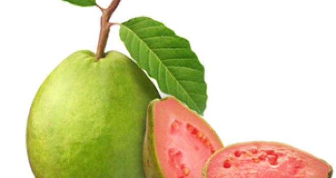 Cum tratam problemele sistemului digestiv cu ajutorul guavei?