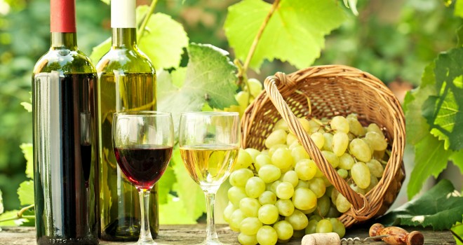 Sunt nocive bacteriile prezente in vin?