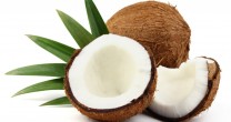 Faina din nuca de cocos si calitatile sale nutritive