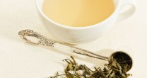 Ceaiul alb si efectele sale benefice pentru corpul uman