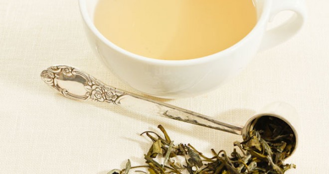 Ceaiul alb si efectele sale benefice pentru corpul uman